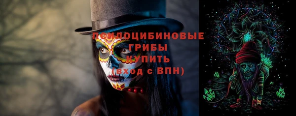 mix Олёкминск