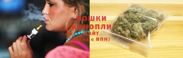 ПСИЛОЦИБИНОВЫЕ ГРИБЫ Тайга