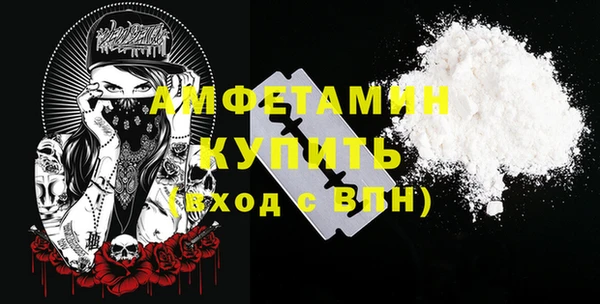 шишки Сясьстрой