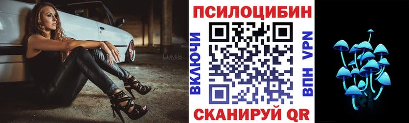 shop Telegram  купить   мега рабочий сайт  Черноголовка  Псилоцибиновые грибы мицелий 
